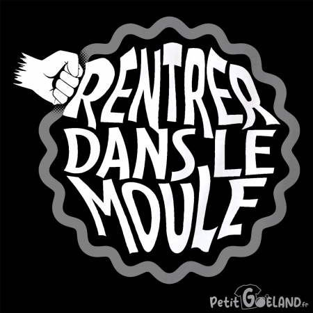 Rentrer dans le moule