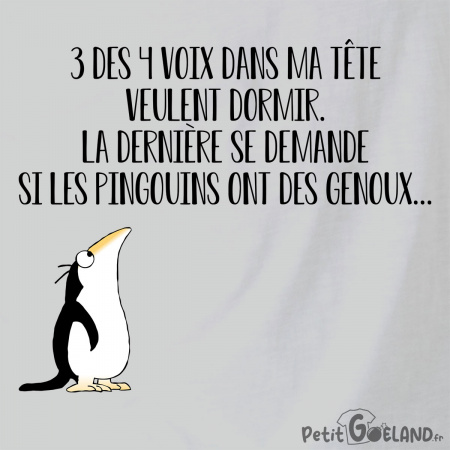 Si les pingouins ont des genoux